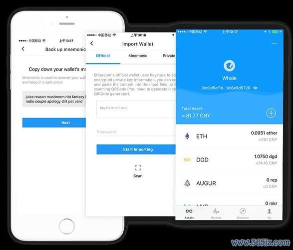 下载imToken安卓版后的使用指南，提升您对数字资产的认知与操作技巧。_资产数字化是什么意思_资产安卓游戏